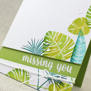 Missing You Close Up