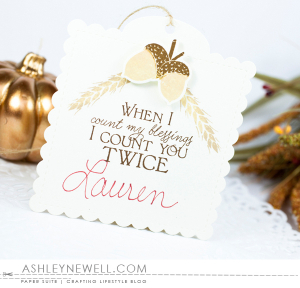 Thanksgiving Placard
