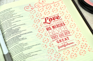 The Steadfast Love detail