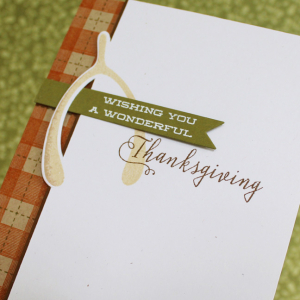 Wonderful Thanksgiving Close Up