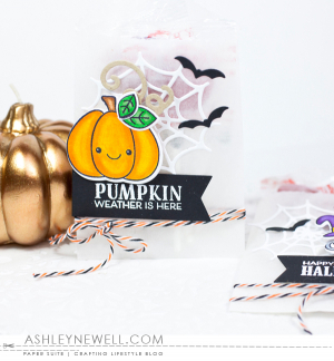 Pumpkin Weather is Here