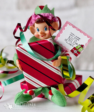 elf-signs4