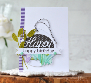 Amy Sheffer - Splits: Happy Birthday