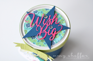 Wish Big Pint Container Lid