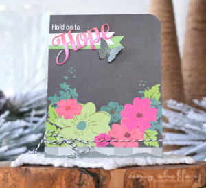 Amy Sheffer - Inspired: Hope