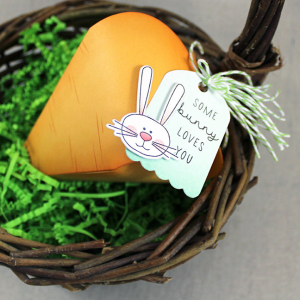 Some Bunny Loves You Tag