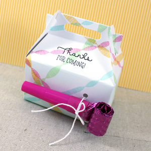 Noise Maker Favor Box
