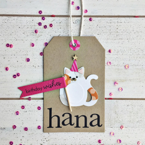 Hana's Birthday Tag