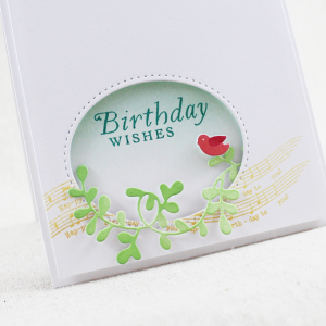 Birdy Birthday Wishes Close Up