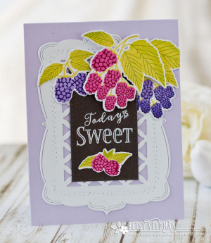 Berries-Today-is1