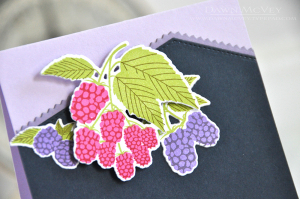 Berries-todayissweet detail