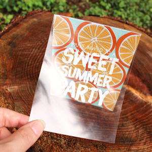 Sweet Summer Party Invitation 4