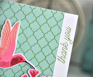 Hummingbird detail
