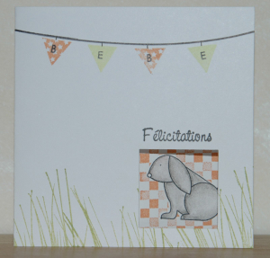 209-baby card-