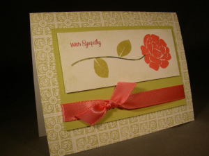 Sympathy rose