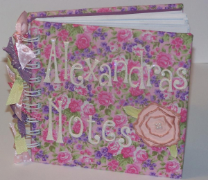 Alexandra's notebook November 08 001