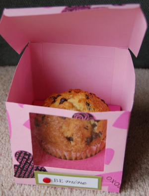 Cupcake/Muffin Gift box