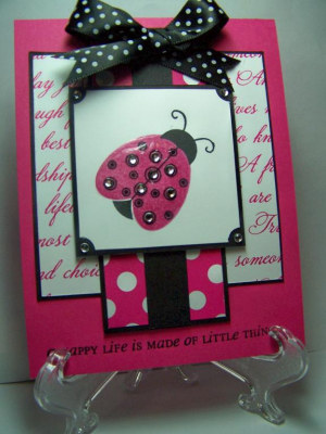 Mojo75 Raspberrry Ladybug