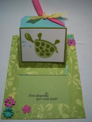 Turtle get well inside