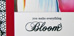 Bloom Closeup