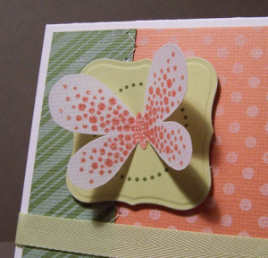Detail Take Flight Butterfly