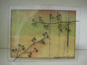 Out On A Limb - Birthday