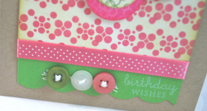 Button Detail Close Up