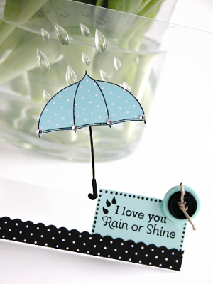 Scattered Showers Close-Up