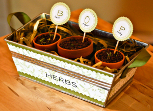 Mother's Day Herb Box