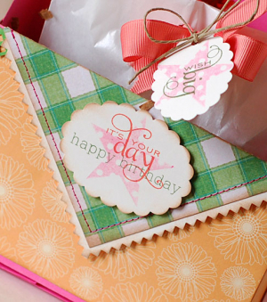 BirthdayPicnicParty-2