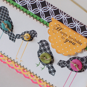 Betsy Veldman - Bird Watching and Additions