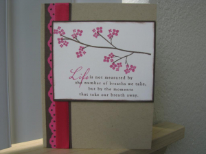 Raspberry Suite Color Challenge #8 2nd Card