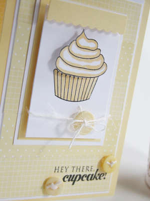 Cupcake Collection Close-Up