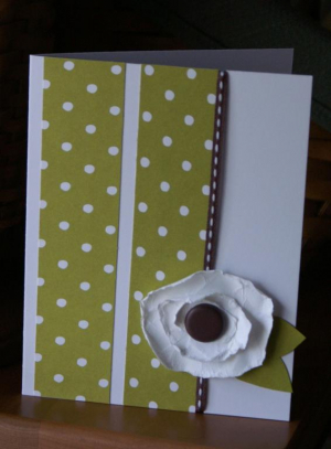 HN Chocolate Kiwi (1)