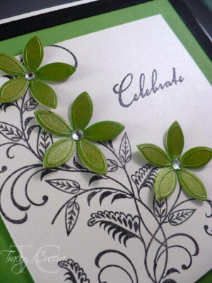 Tracey Cuccia July 2009