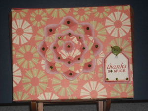 Front view of Captured Card Case