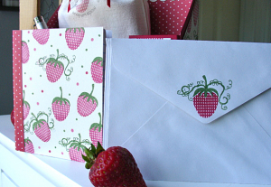 Tiny notebook and envelopes