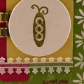 Sweet Pea