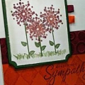 Flower Sympathy