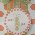 sets: polka dot basics, green thumb , borders and corners (oval)
ink: spring moss and SU! groovy guava
paper: SU groovy guava , PTI white and spring moss
ribbon: spring moss polka dot satin...