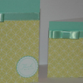 This is my very first papertrey card and post into the gallery.  It was a lot of fun!  my daughter saw me making the tall one first, and asked me to make her one.  so I made her a smaller one...I...