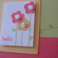 PaperTrey and Green Thumb Stamp Sets with Spring Moss, Berry Sorbet & Apricot Appeal CS.