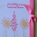 Green Thumb & BB&T's Stamp Sets with Berry Sorbet & Spring Moss CS.