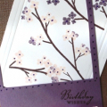 Inks: Perfect Plum and Blush blossom from SU!