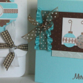 Aqua & Brown Combos