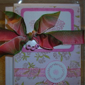 packaging for 4 cards made with butterfly kisses