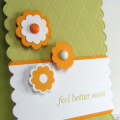 This was my card for the May Blog Hop - what a hoot!! So dang fun! Spring Moss and Summer Sunrise cardstock with Stampers select white!