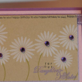 Floral Frenzy, Around and About Sentiments, Women of Life
Plum pudding, lavender moon cardstock
