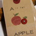 Flashcard Mini Book Cover
