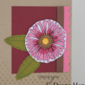 Dark Chocolate and Hibiscus Burst. Stamps are Friends Til the End and Polka Dot Basics 2.